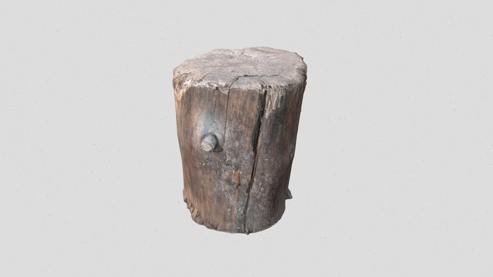 Trunk for chopping wood 3D Model