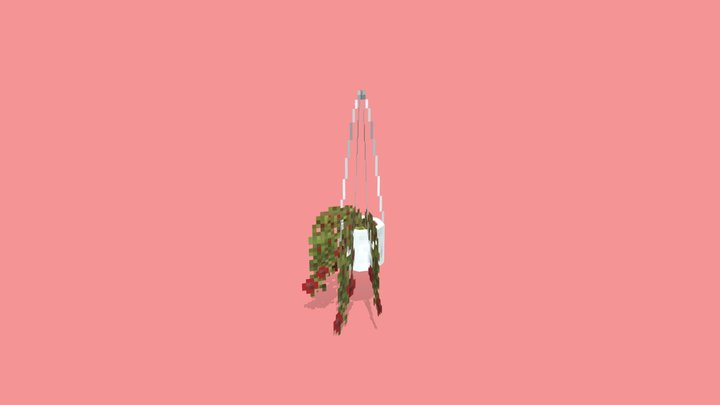 Hanging Flower Plant 3D Model