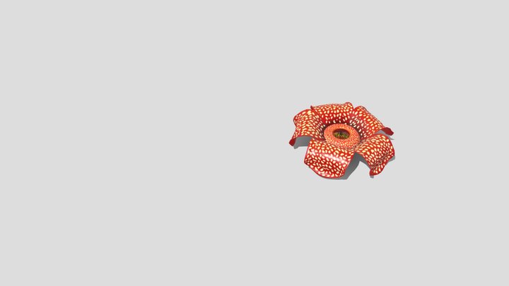rafflesia final 3D Model