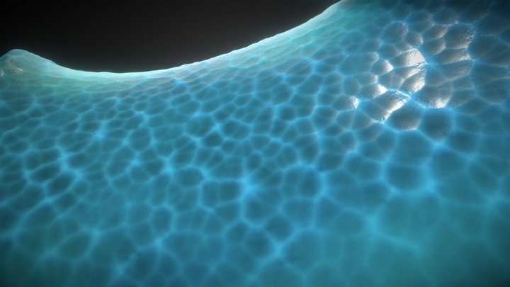 IceBerg 3D Model