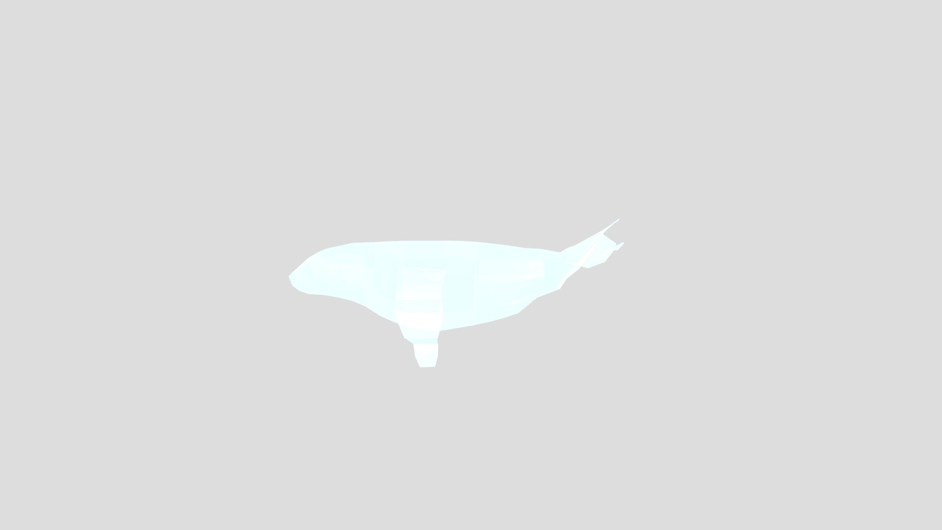 Humpback Whale