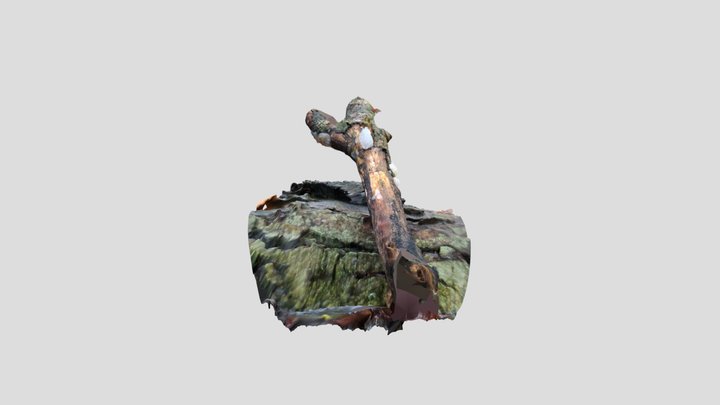 Crystal Brain Fungus – Modello 3D gratuito STL