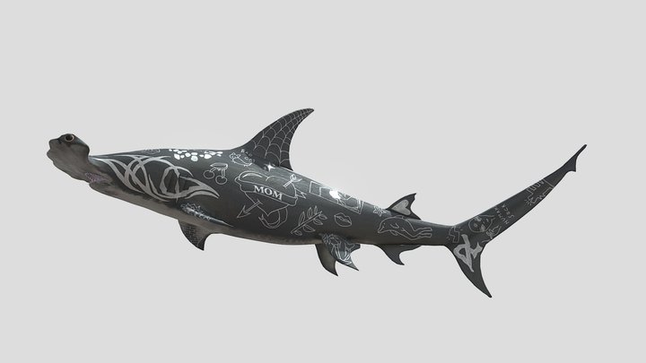 Акула 3D Model