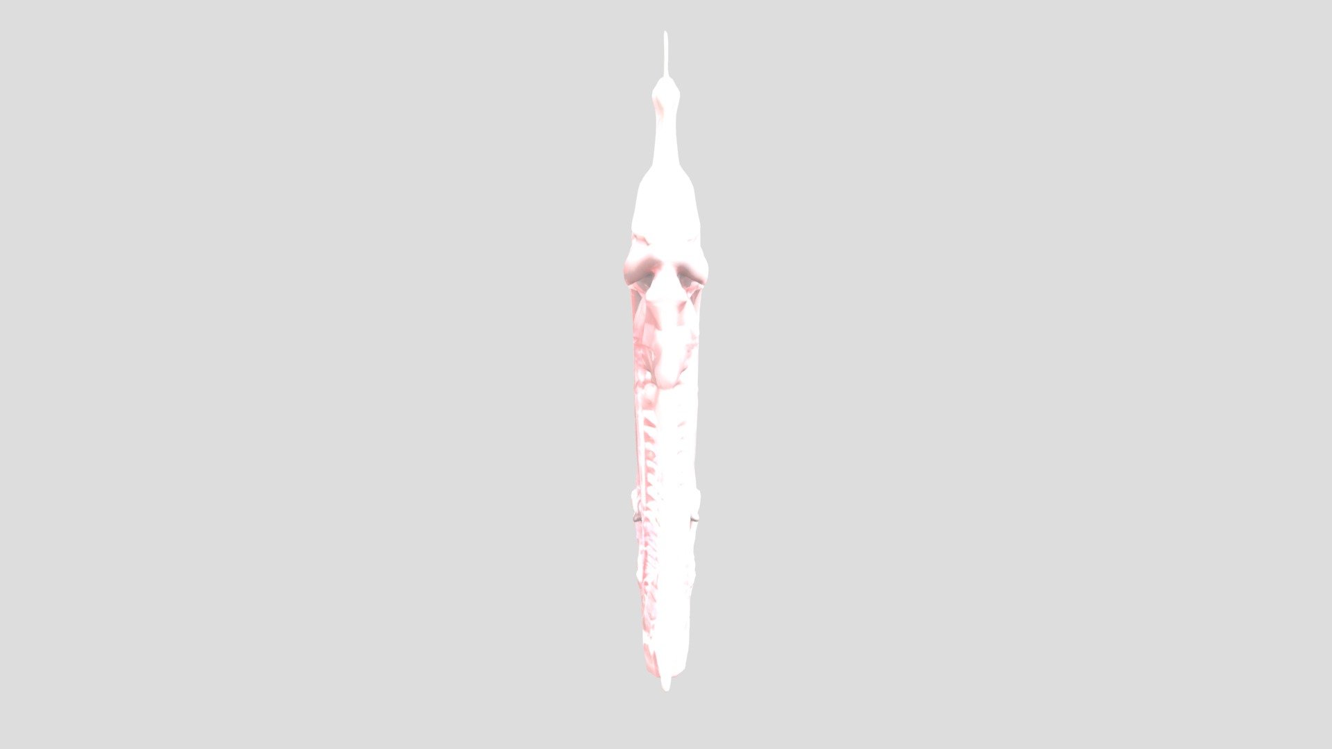 A piece of raw meat - 3D model by lloydkennelly [3ec91ba] - Sketchfab