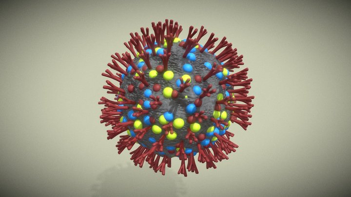 Coronavirus Covid-19 Virus 3D Model