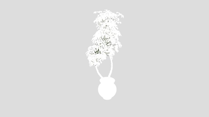 Schefflera Arboricola Umbrella