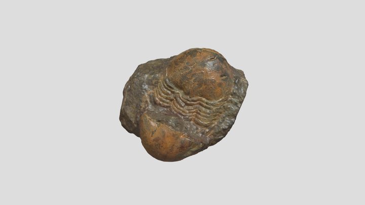 Sample 10 3D Model
