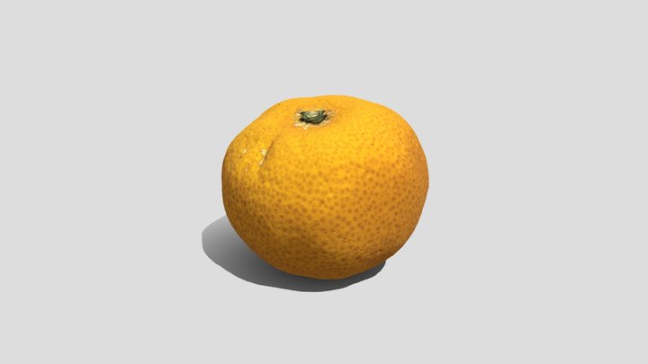 Japanese Orange(3d Scan) 3D Model
