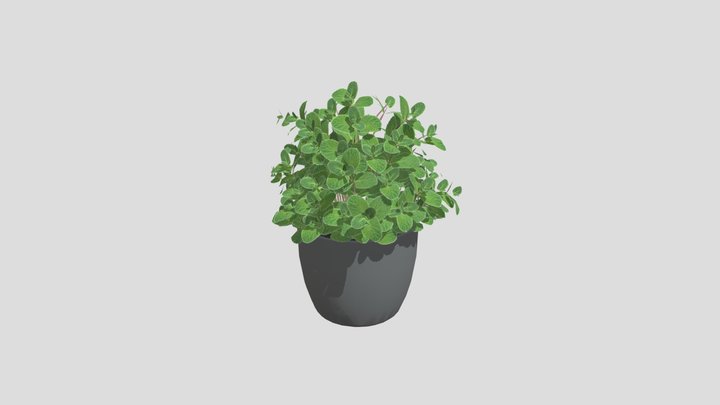 Indoor Planter 3D Model