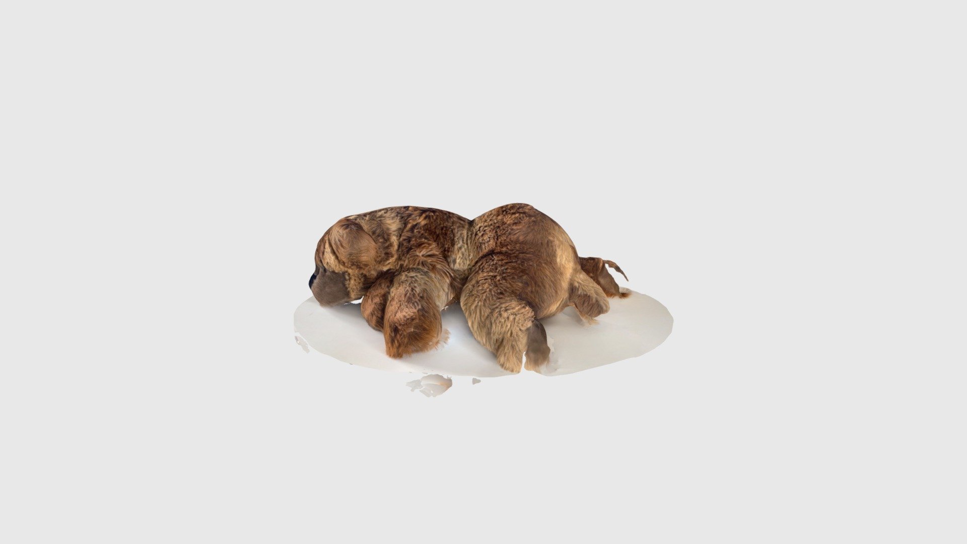 Teddybaer — Sketchfab embed 3D viewer