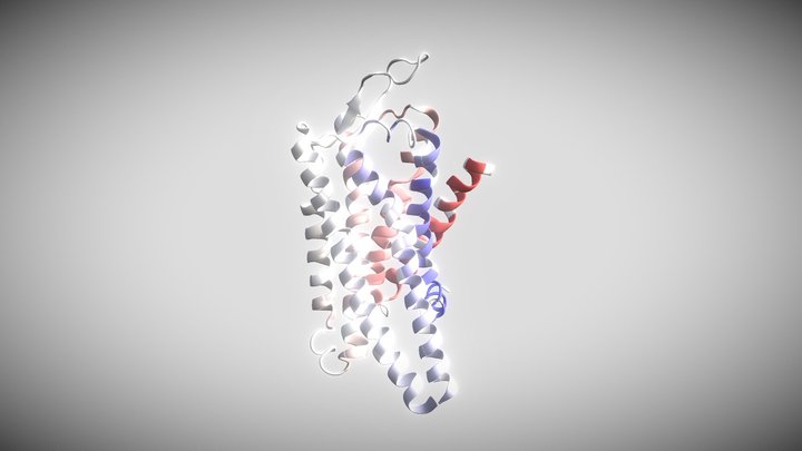GPCR Protein 3D Model