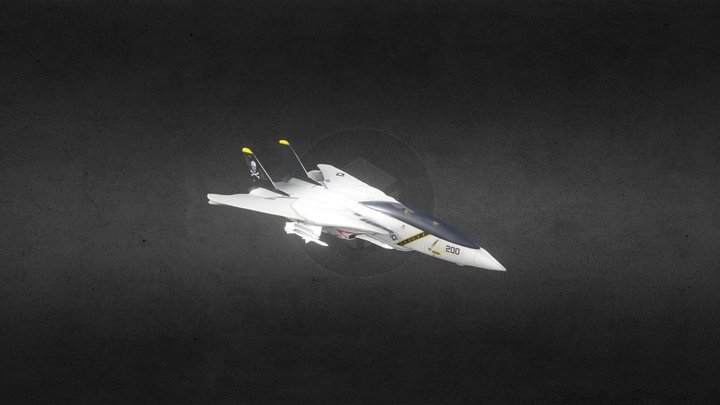 Grumman F-14 Tomcat toy 3D Model