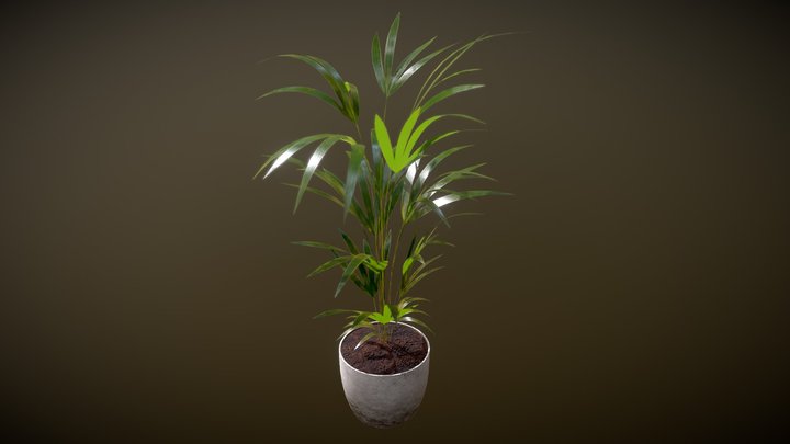 House Plant 3D Model