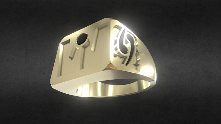 WAKA AMA IRON MAN 3D Model