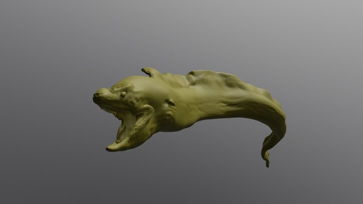 Moray eel Sculpt Model 3D Model