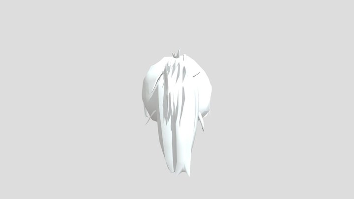 BlackHair 3D Model