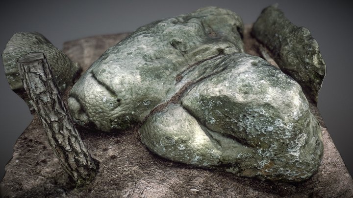 Fontainebleau Forest Rocks