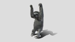 Sloth - 3D model by BBSloth [fc71fde] - Sketchfab