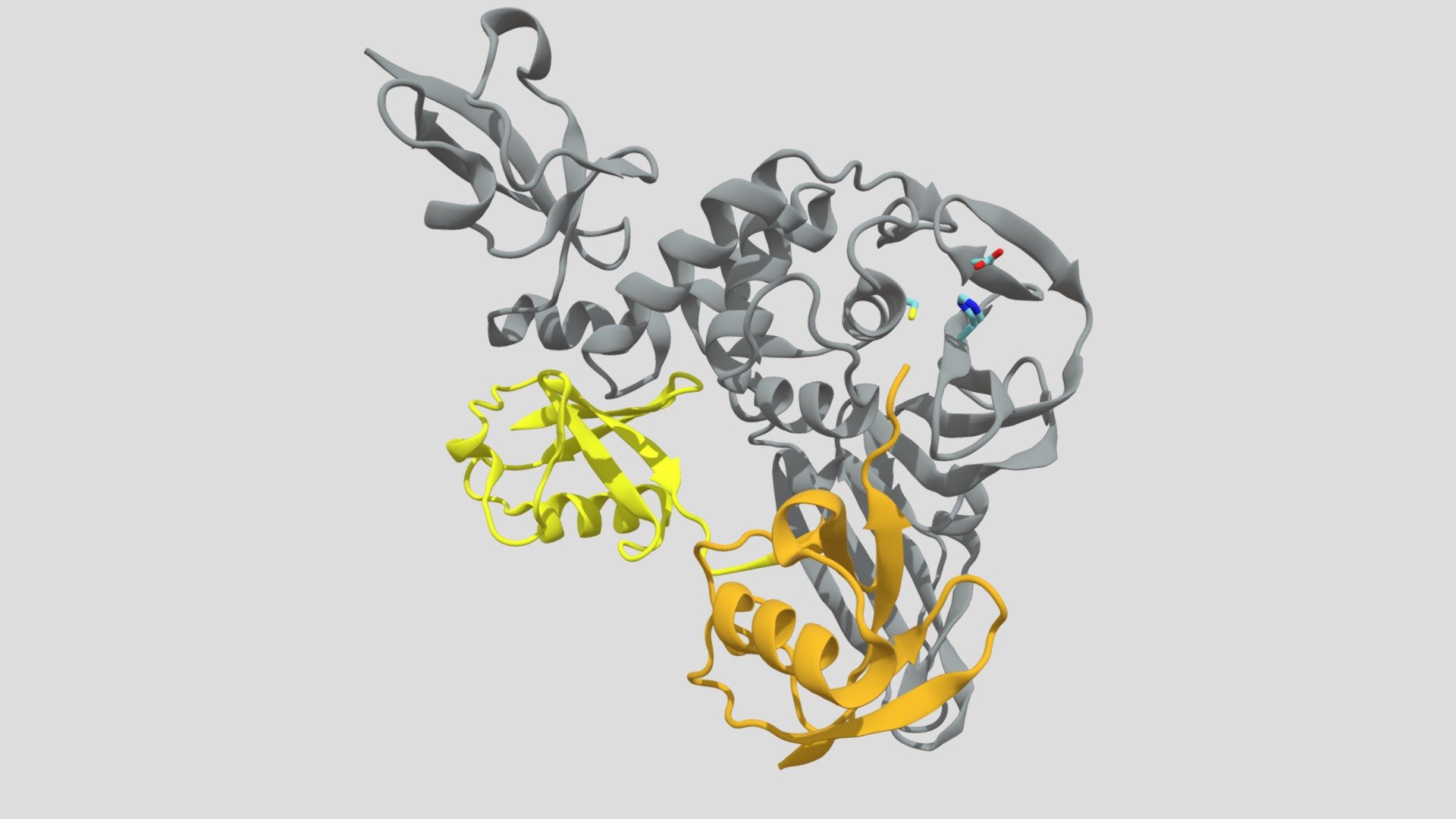 SARS PLpro   2 ubiquitins Download Free 3D model by gvsuchem ( gvsu