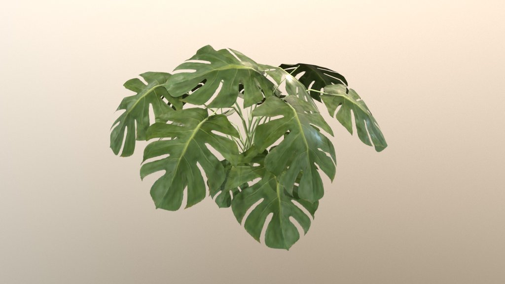 Tropical Plant — low-poly nature 3D model by alint