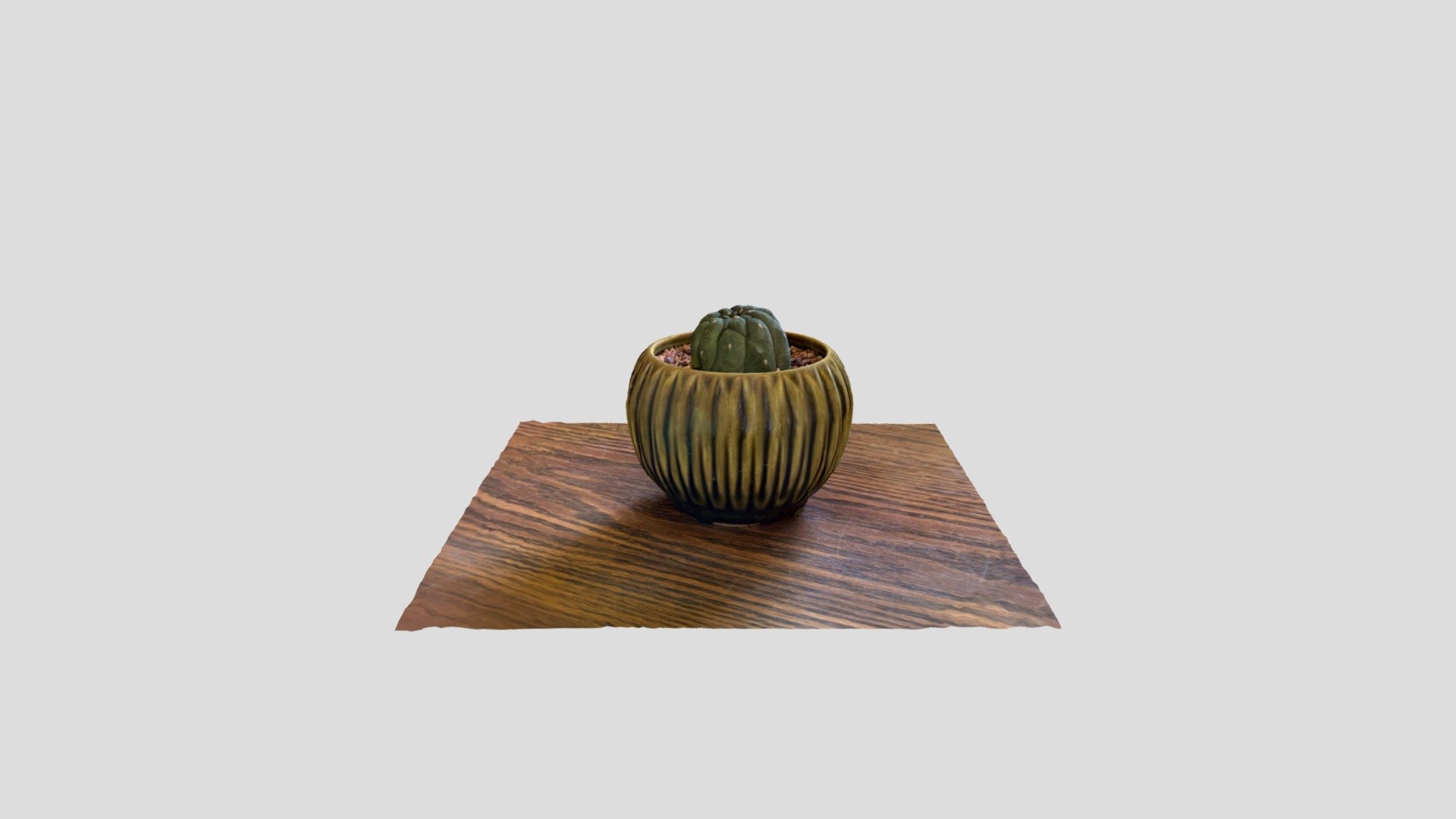 Polycam test #1
