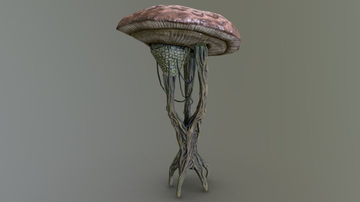 Emperor Parasol 3D Model