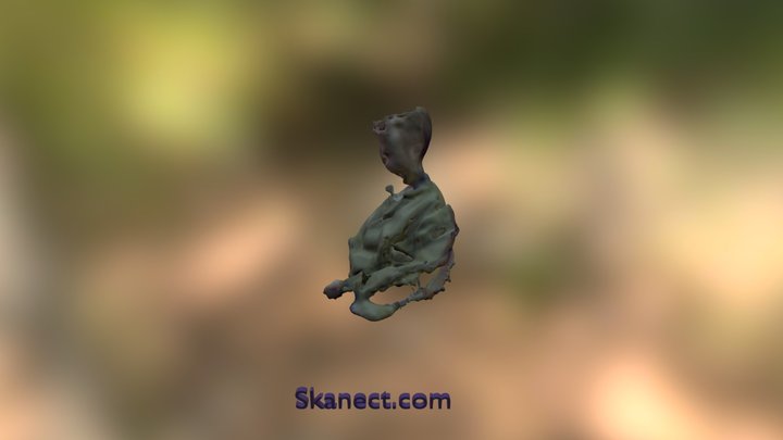 Kinect test 3D Model