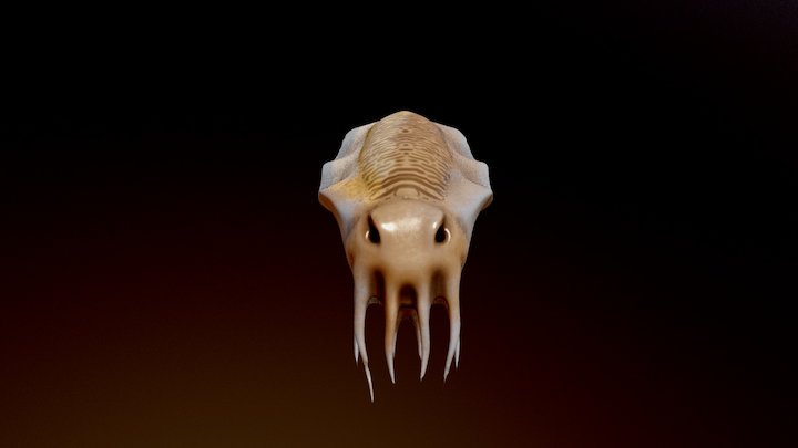 Cuttle v2 3D Model