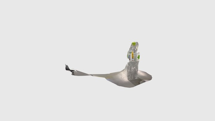 ritsumei24x_いろはす 3D Model