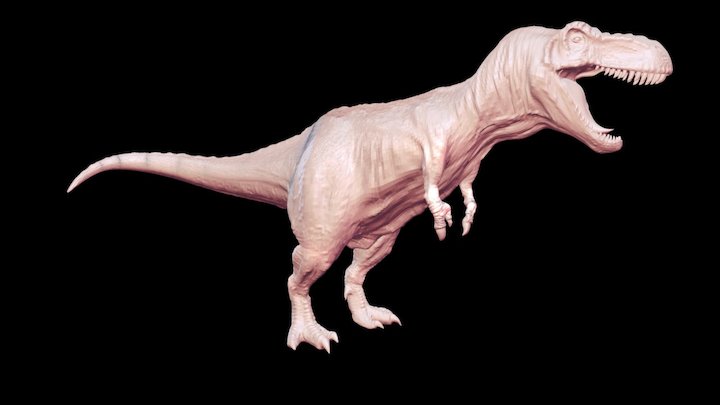 T-Rex - High Poly Sculpt 3D Model