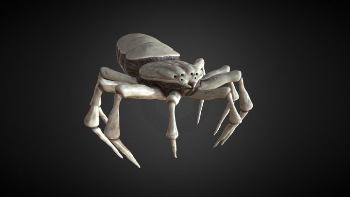 Spider Creature 3D Model