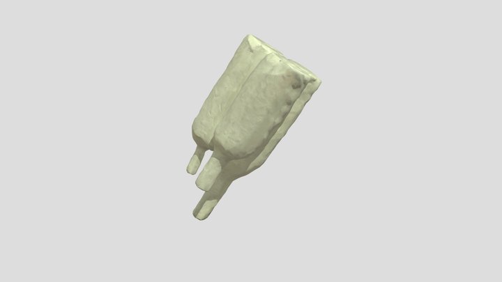 Flasks 3D Model