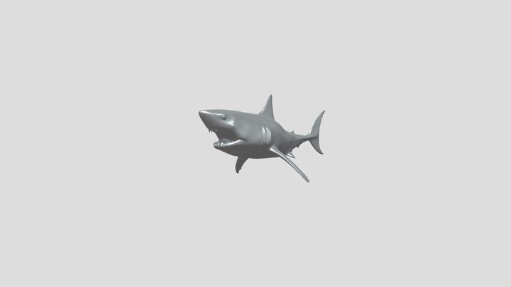 A shark with open mouth – Modèle 3D gratuit STL
