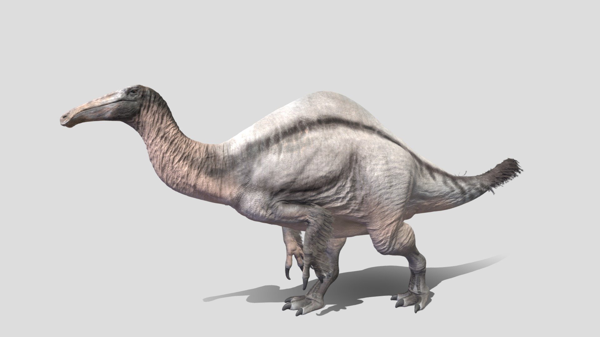 Deinocheirus mirificus – The Paint Paddock