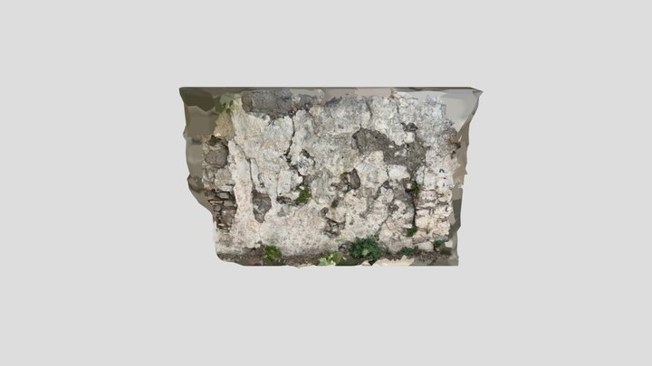 Old Damaged Plaster Wall 3D Model