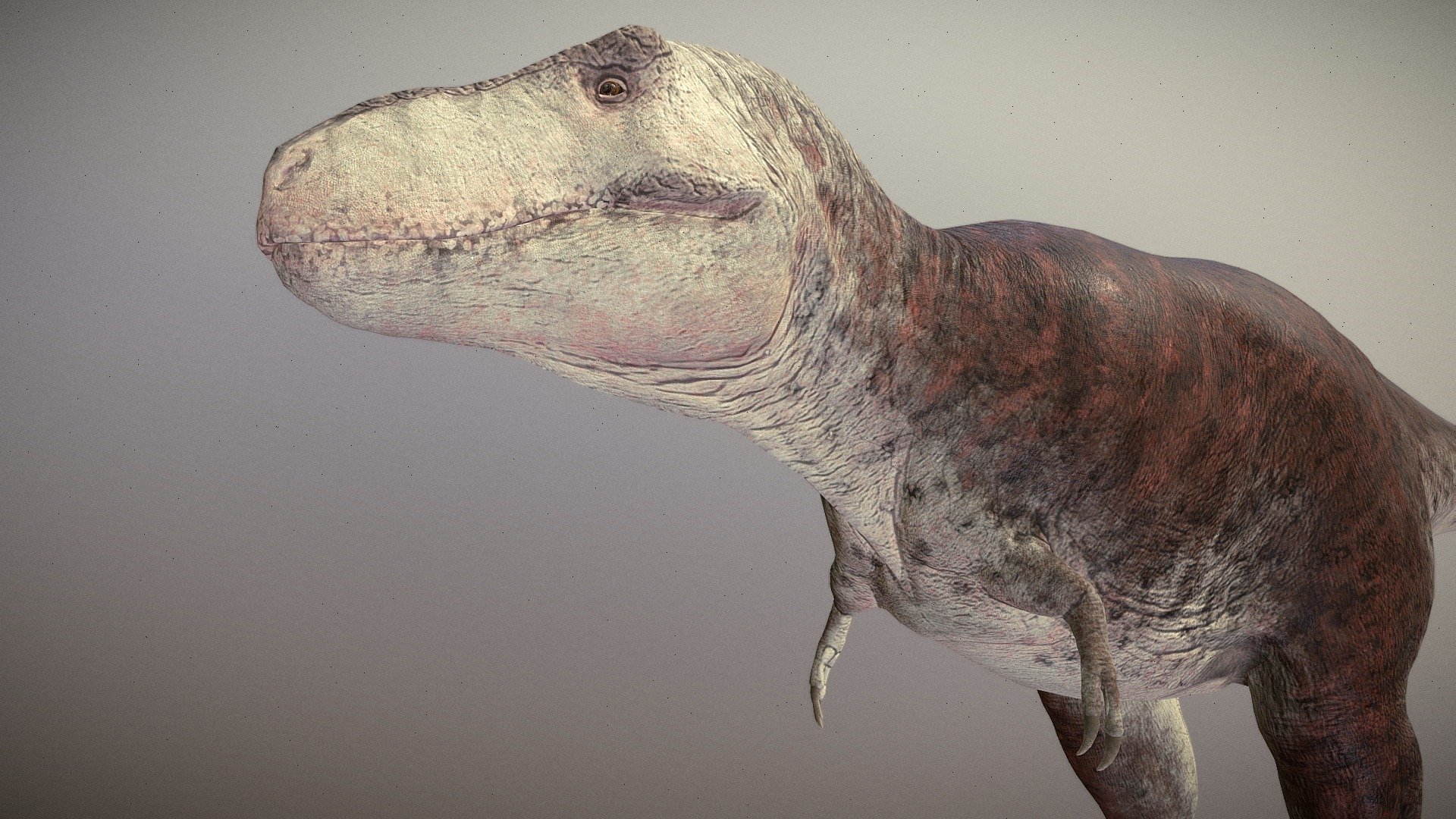 Tyrannosaurus Rex D Model By Freeflier Efe C Sketchfab