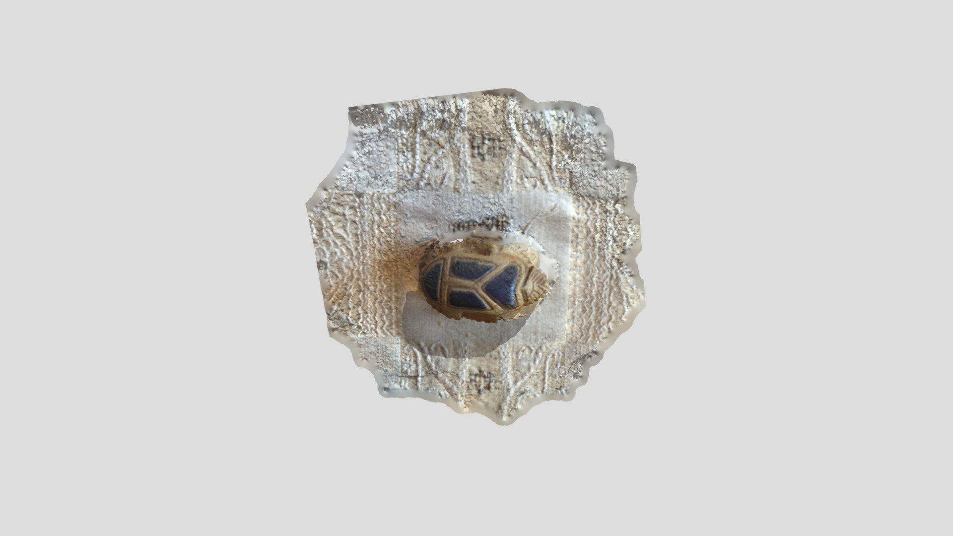 Scarab Beetle