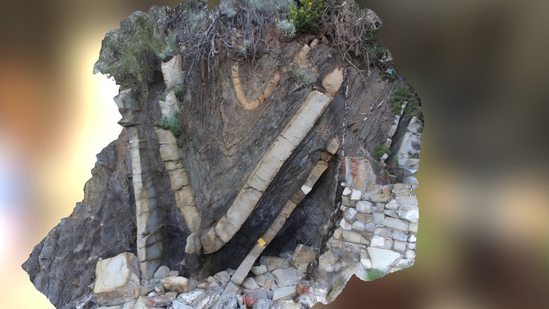 Synclinal fold - Macigno Formation