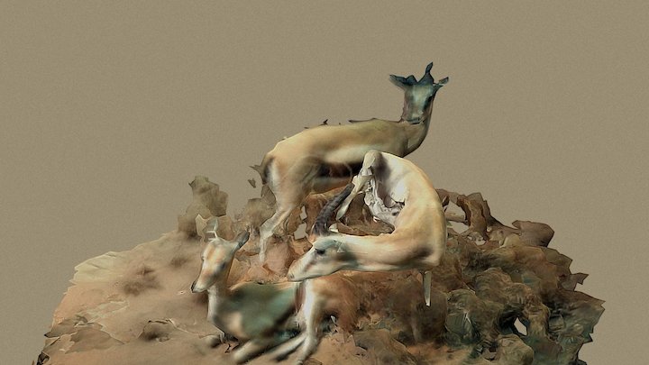 Amnh 3D models - Sketchfab