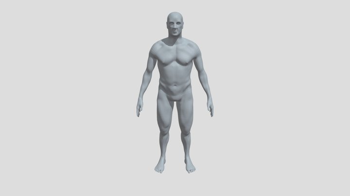 Human Anatomy Study Project 3D Model