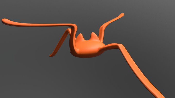 spuider 3D Model