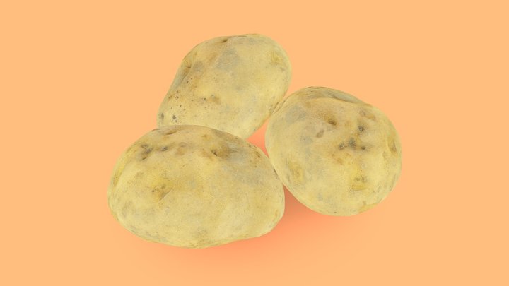 Potatos - Metashape app 3D Model