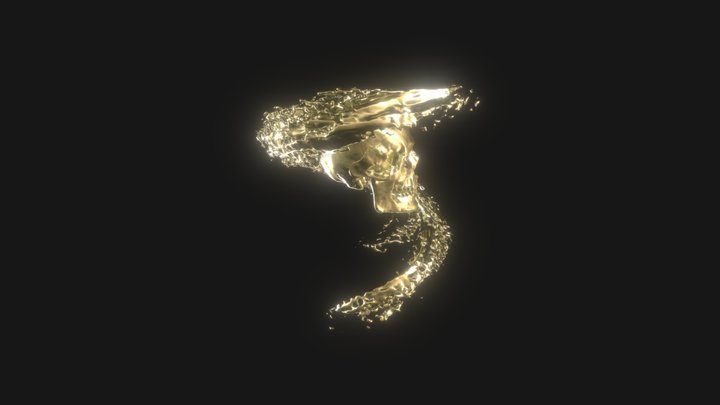 Skull Test 3D Model