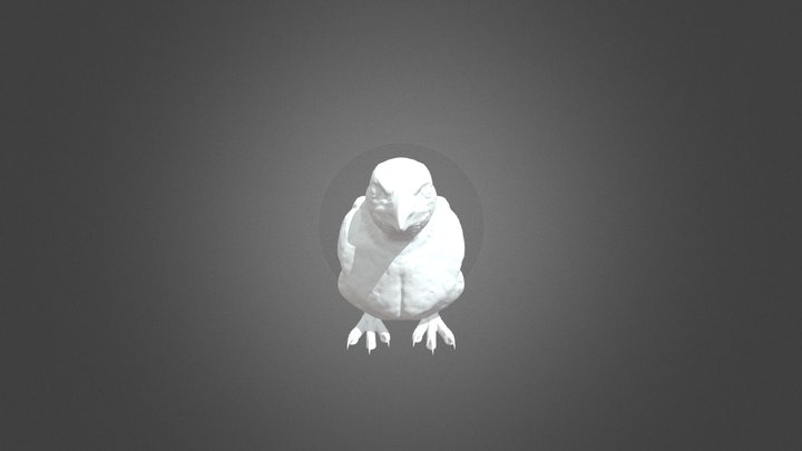 Sitting Crow 3D Model