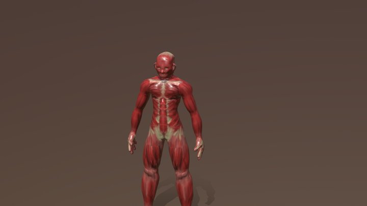 Primera Entrega 3D Model