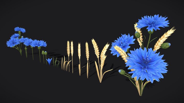 Stylized Cornflower and Wheat 3D Model