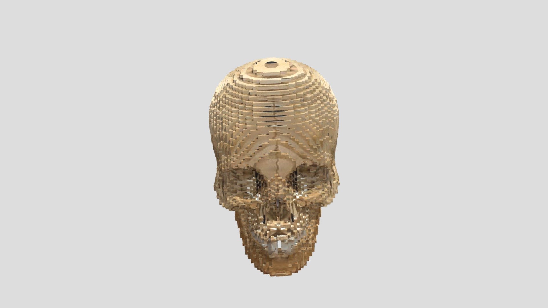 DTS4.2_CUINDA_Y1_Nirada_C08_Skull — Sketchfab embed 3D viewer