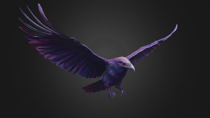 Blackbird 3D models - Sketchfab