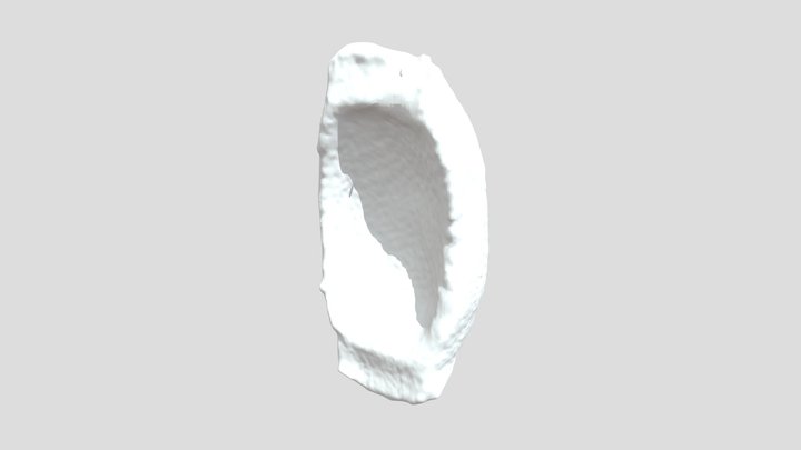Canoe 3D Model