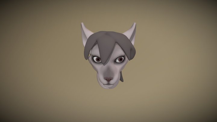 Test canine 3D Model